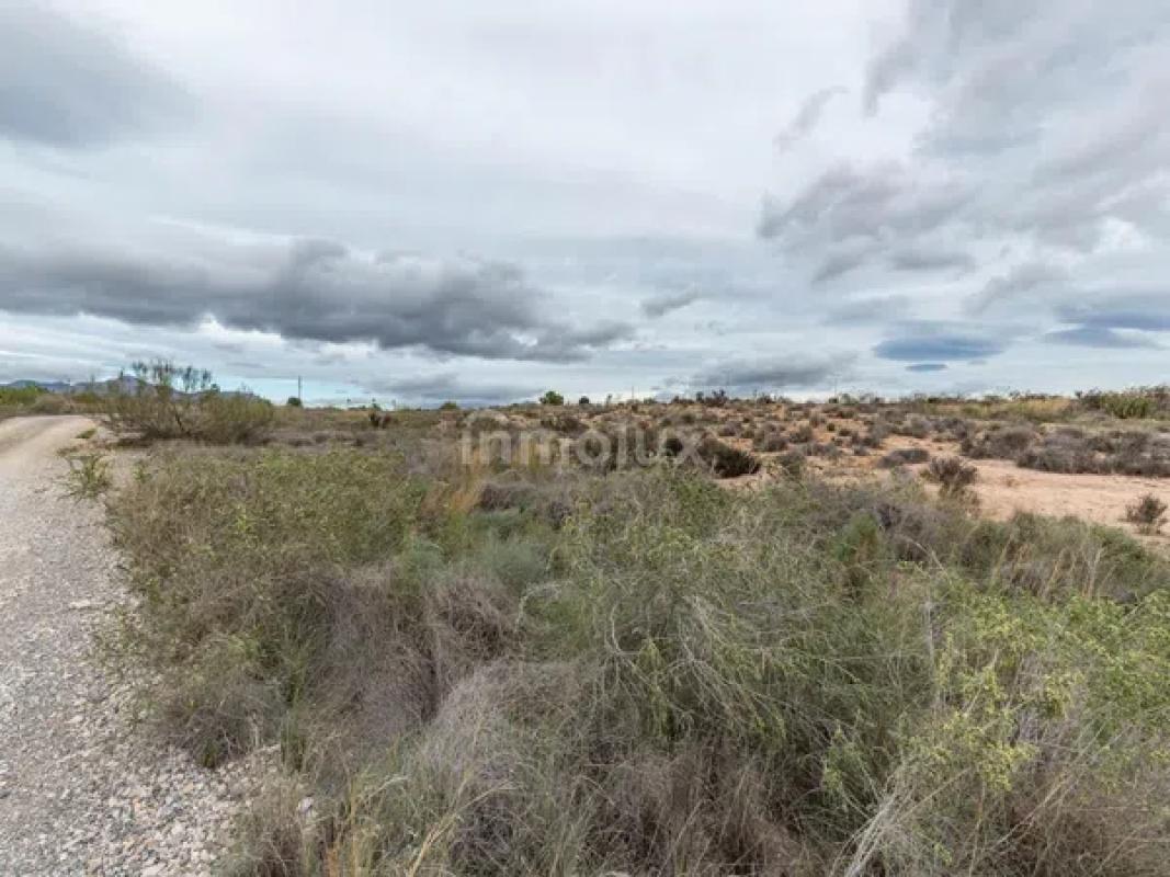 Terreno en venta en Cañada del Fenollar, Alicante photo 5