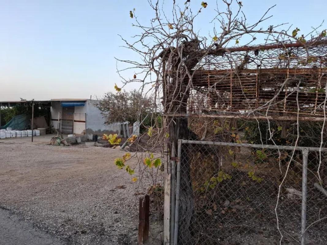 Terreno en venta en Guardamar del Segura, Alicante photo 2