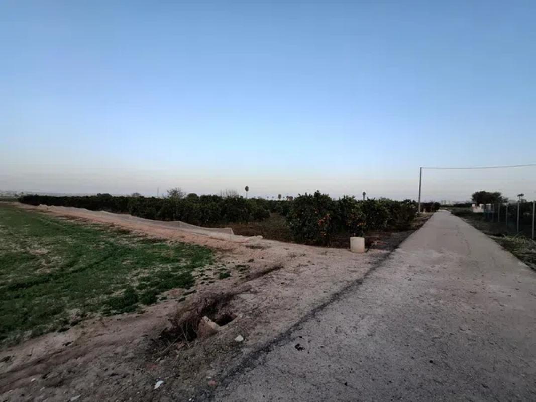 Terreno en venta en Guardamar del Segura, Alicante photo 3