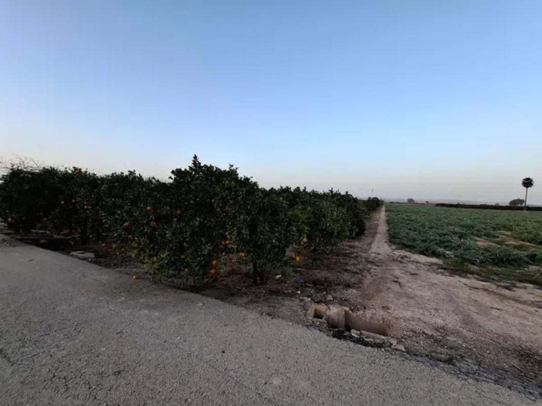Terreno en venta en Guardamar del Segura, Alicante photo 5