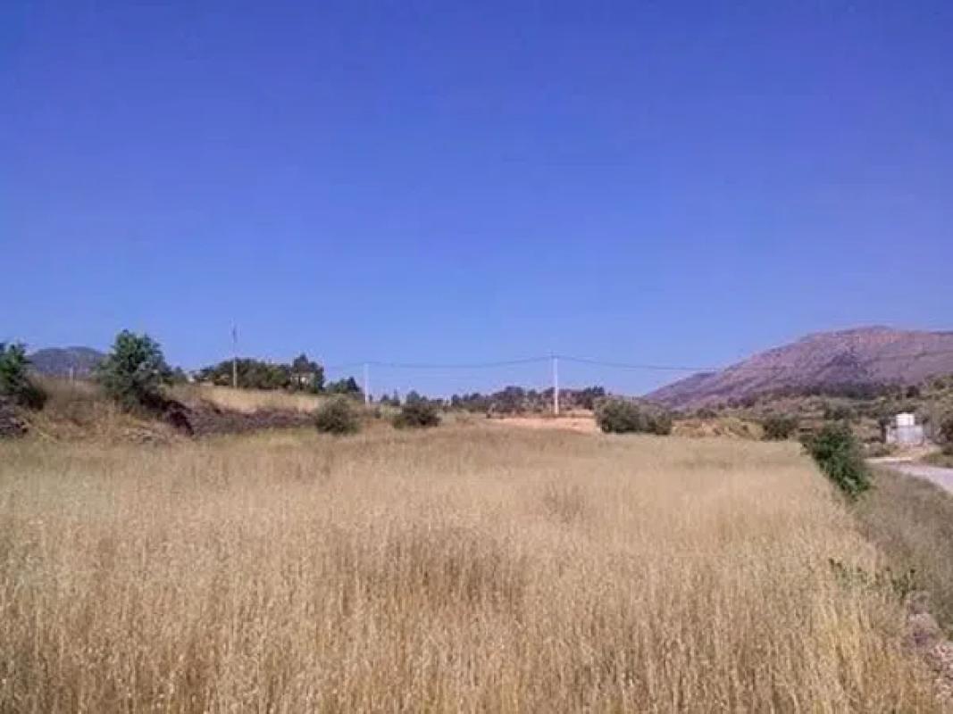 Land for sale in La Romana, Alicante photo 1