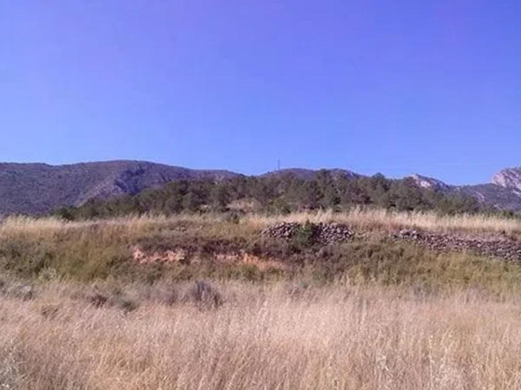 Land for sale in La Romana, Alicante photo 2
