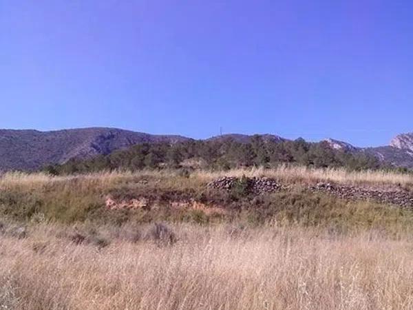 Terreno en Partida Umbria Baja de Algayat photo 2
