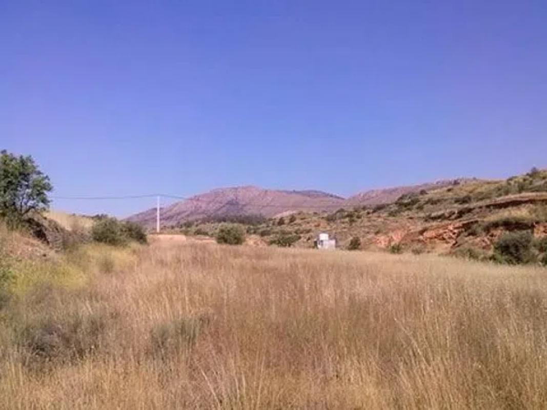 Land for sale in La Romana, Alicante photo 3