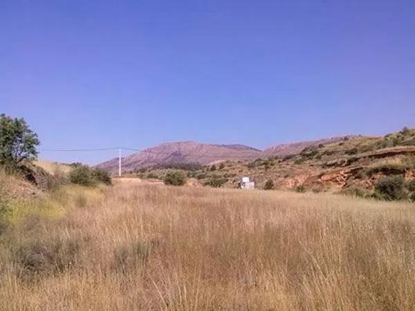 Terreno en Partida Umbria Baja de Algayat photo 3