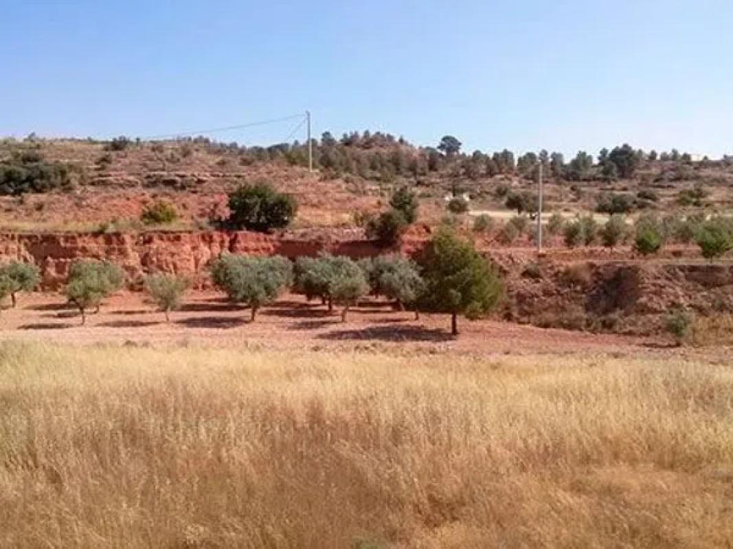 Land for sale in La Romana, Alicante photo 4