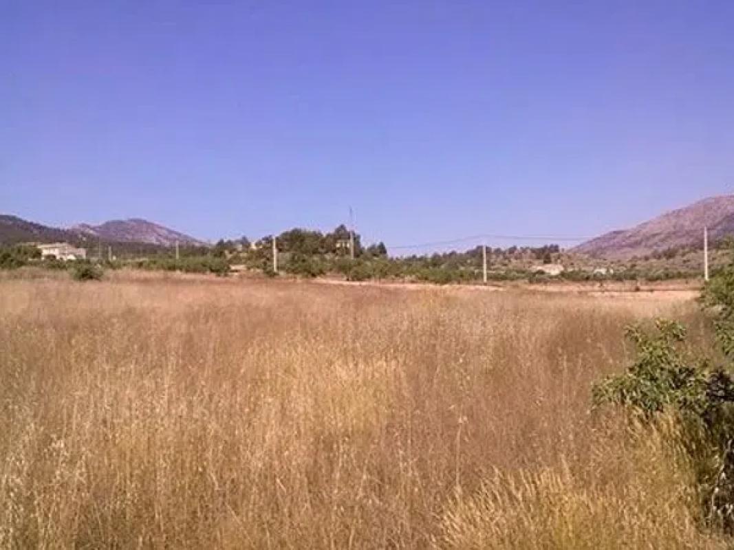 Land for sale in La Romana, Alicante photo 5