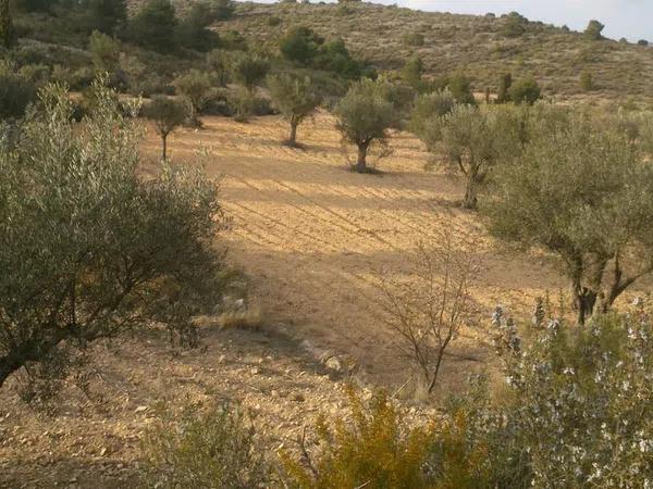 Terreno en sierra de la villa s/n photo 1