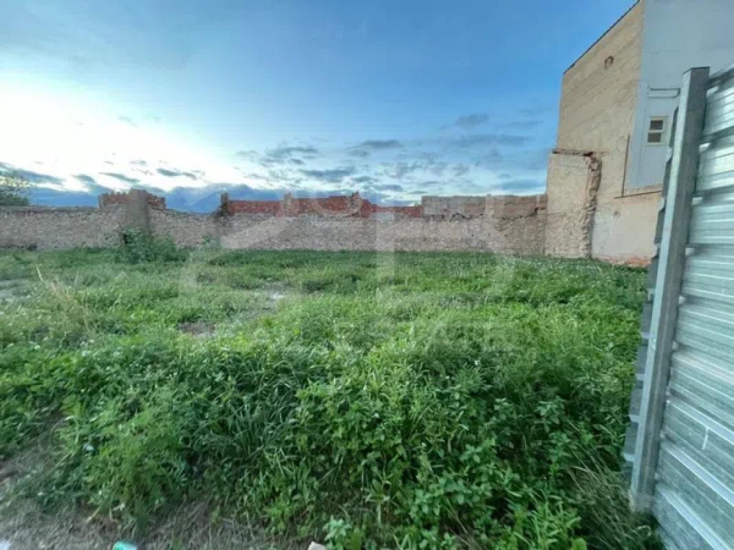 Terreno en venta en Aspe, Alicante photo 5