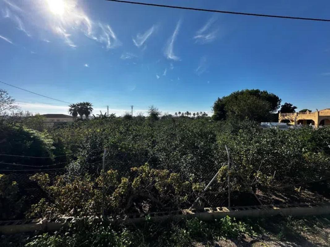 Land for sale in Dolores, Alicante photo 4