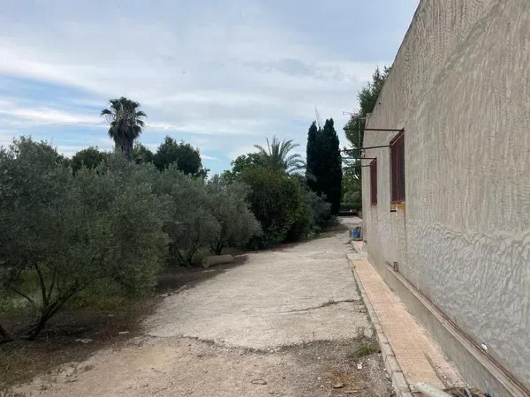 Land for sale in Dolores, Alicante photo 5
