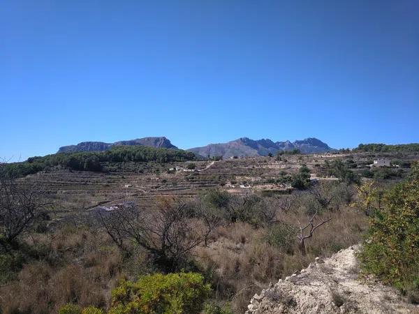Terreno en Benimarrach, 1 photo 4