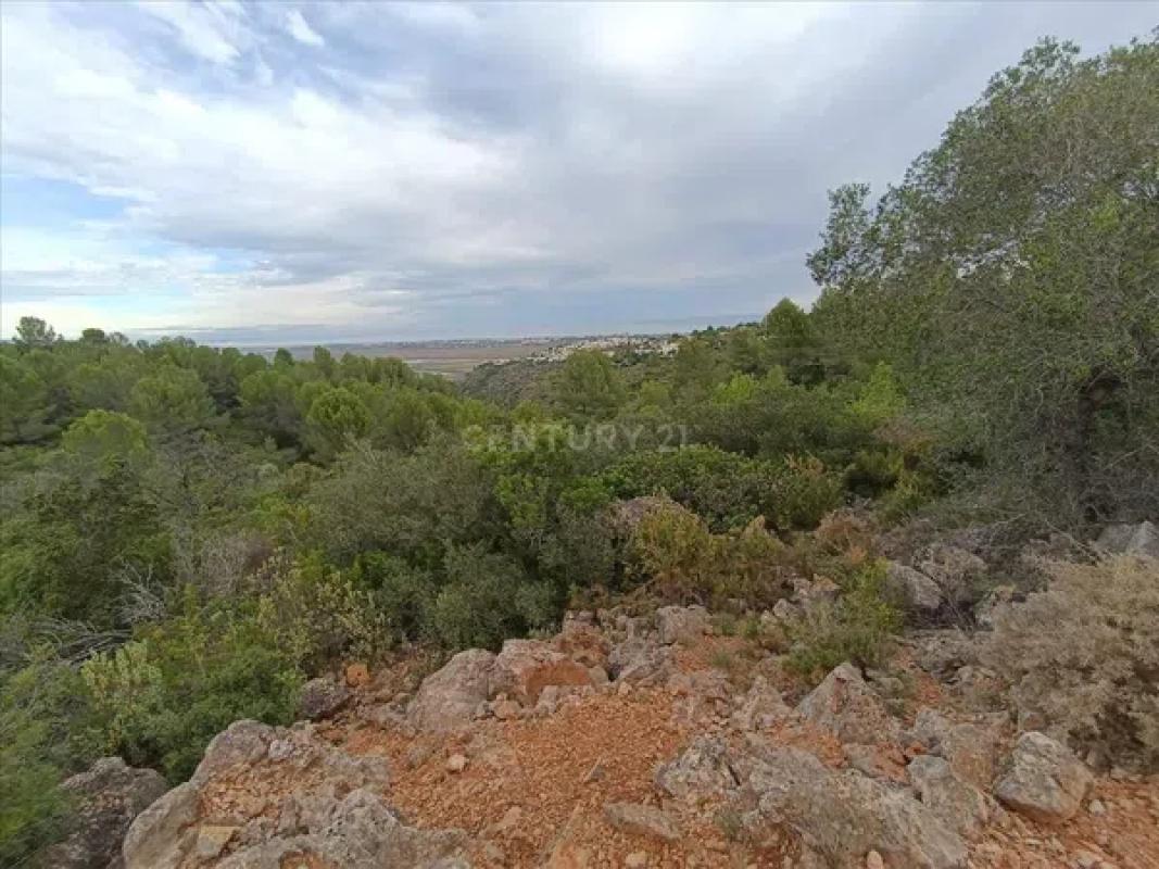 Terreno en venta en Rafol de Almunia, Alicante photo 1