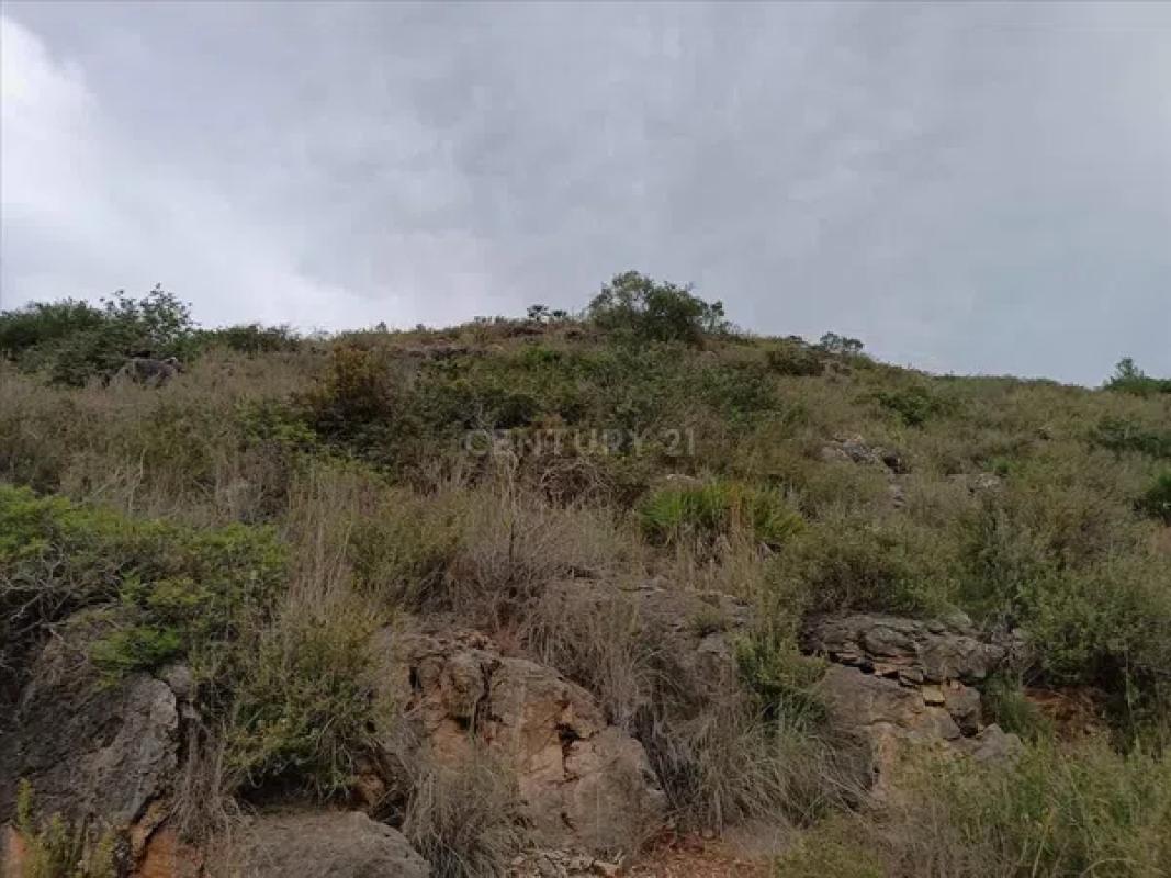 Terreno en venta en Rafol de Almunia, Alicante photo 2