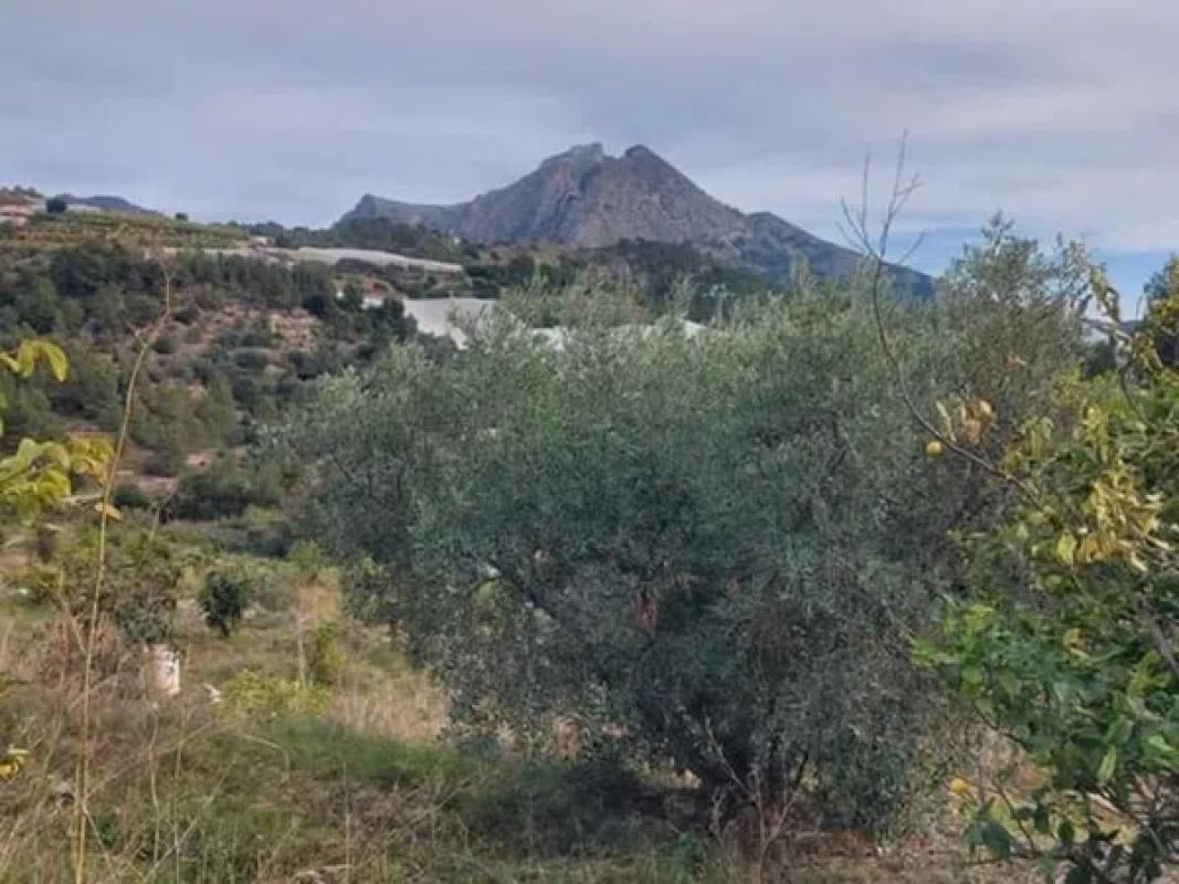 Działka na sprzedaż w Callosa d'En Sarria, Alicante photo 1