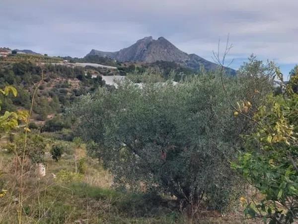 Terreno en Callosa d'En Sarria photo 1