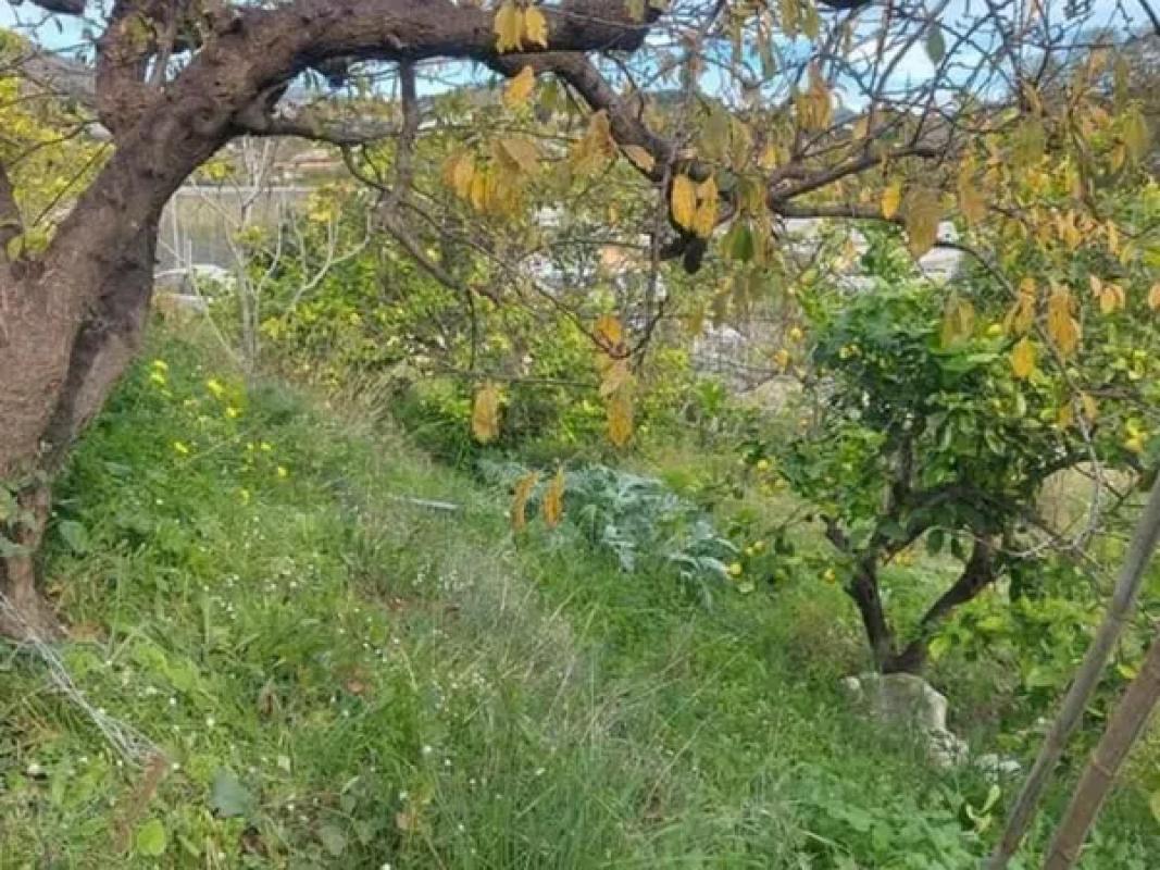 Działka na sprzedaż w Callosa d'En Sarria, Alicante photo 2