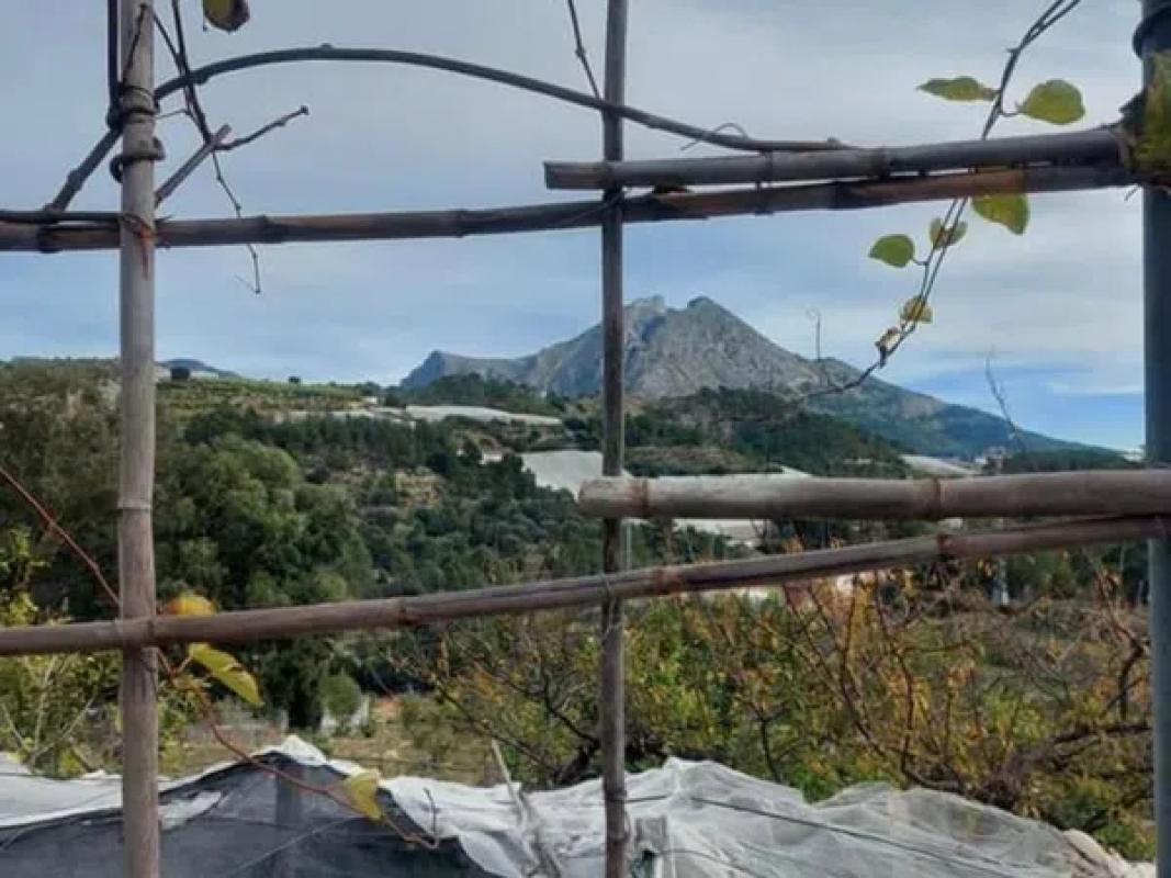 Działka na sprzedaż w Callosa d'En Sarria, Alicante photo 4