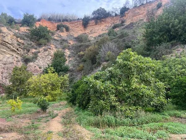 Terreno en Callosa d'En Sarria thumbnail 2