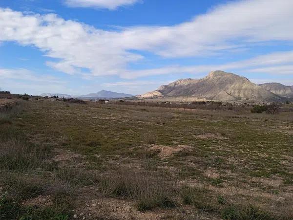 Terreno en Molins-Campaneta-San Bartolomé photo 4