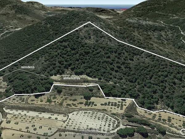 Terreno en Castillo, 78 photo 1