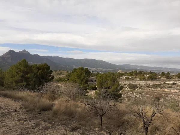 Terreno en Castillo, 78 photo 3