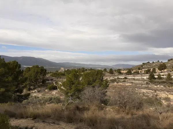 Terreno en Castillo, 78 photo 4