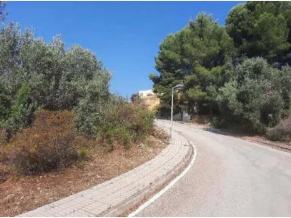 Terreno en Urbanización la Almazara photo 3