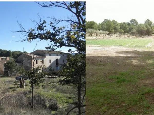 Terreno en Castalla photo 2