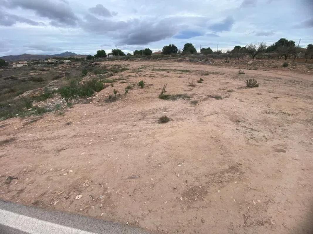 Terreno en venta en Moralet, Alicante photo 3