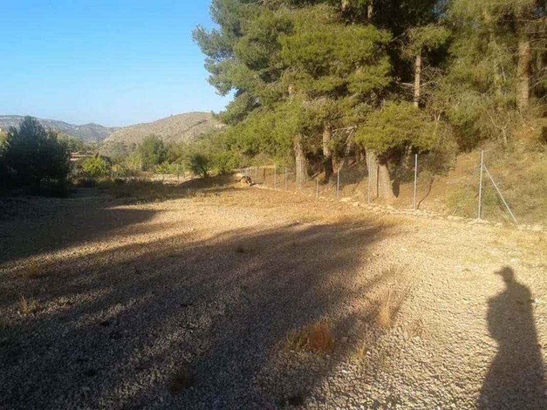 Terreno en venta en Monovar, Alicante photo 2