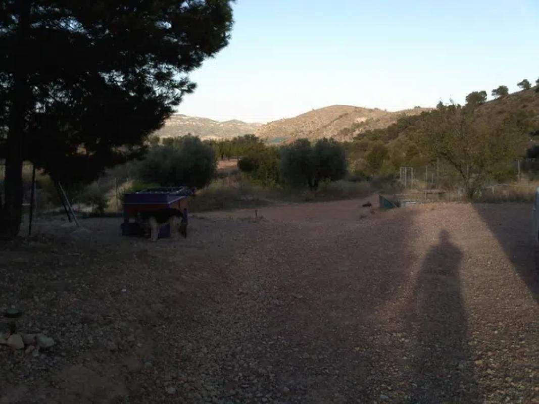 Terreno en venta en Monovar, Alicante photo 5
