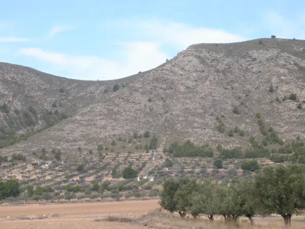 Terreno en venta en Villena, Alicante photo 5