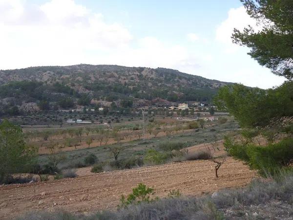 Terreno en Pinoso photo 1