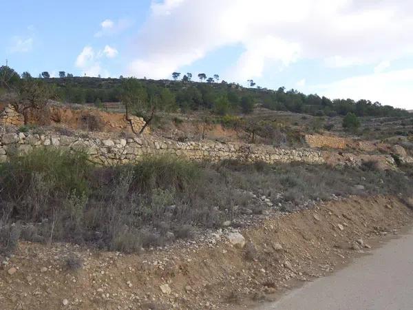 Terreno en Pinoso photo 2