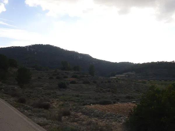 Terreno en Pinoso photo 3