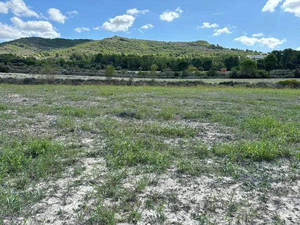 Terreno en Masanet s/n Sn photo 3