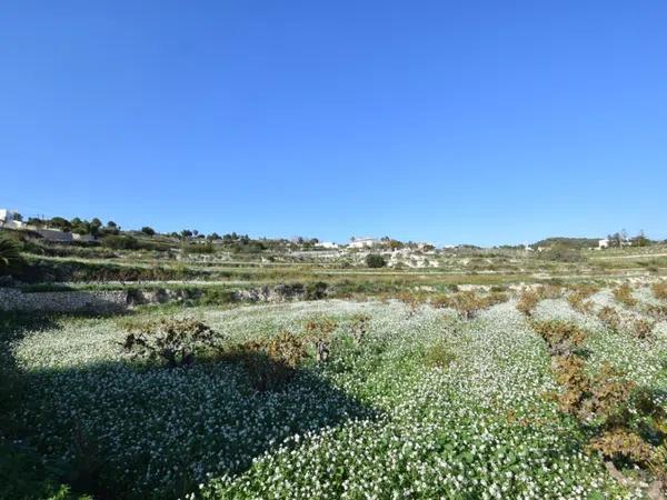 Terreno en Teulada photo 2