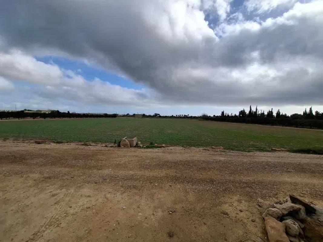 Terreno en venta en Guardamar del Segura, Alicante photo 1