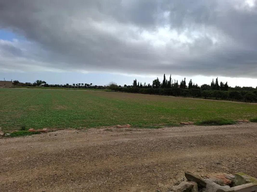 Terreno en venta en Guardamar del Segura, Alicante photo 3