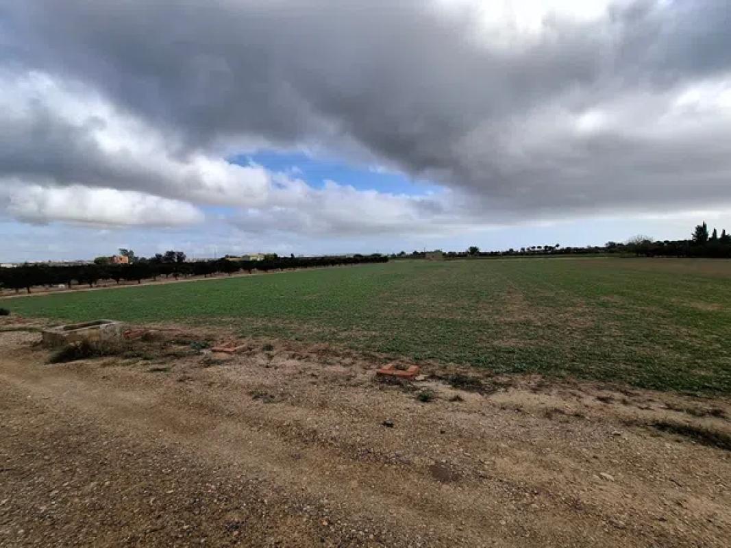 Terreno en venta en Guardamar del Segura, Alicante photo 4