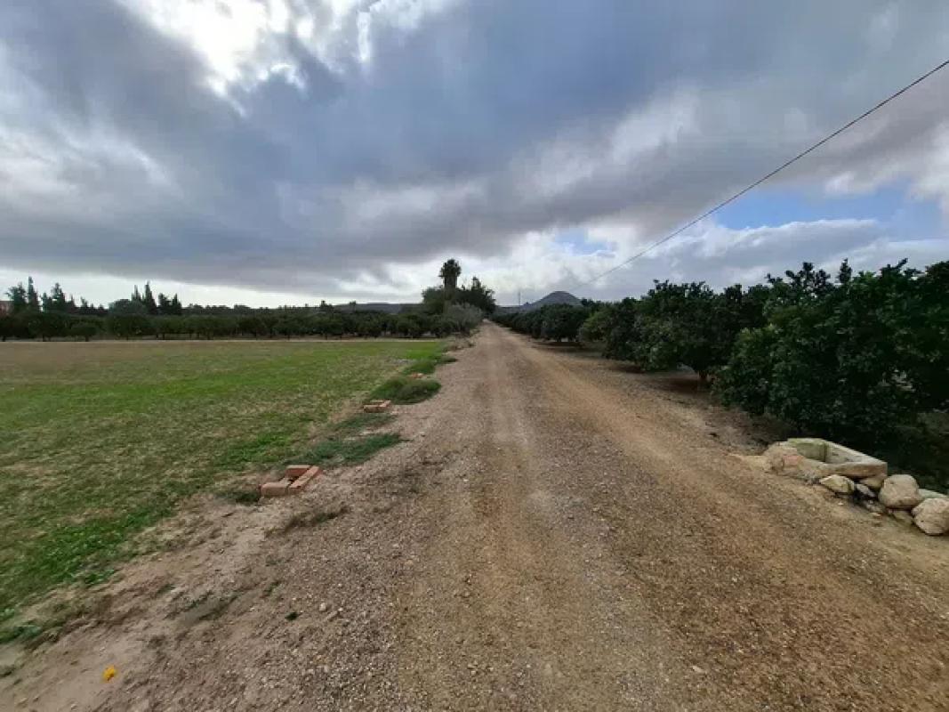 Terreno en venta en Guardamar del Segura, Alicante photo 5