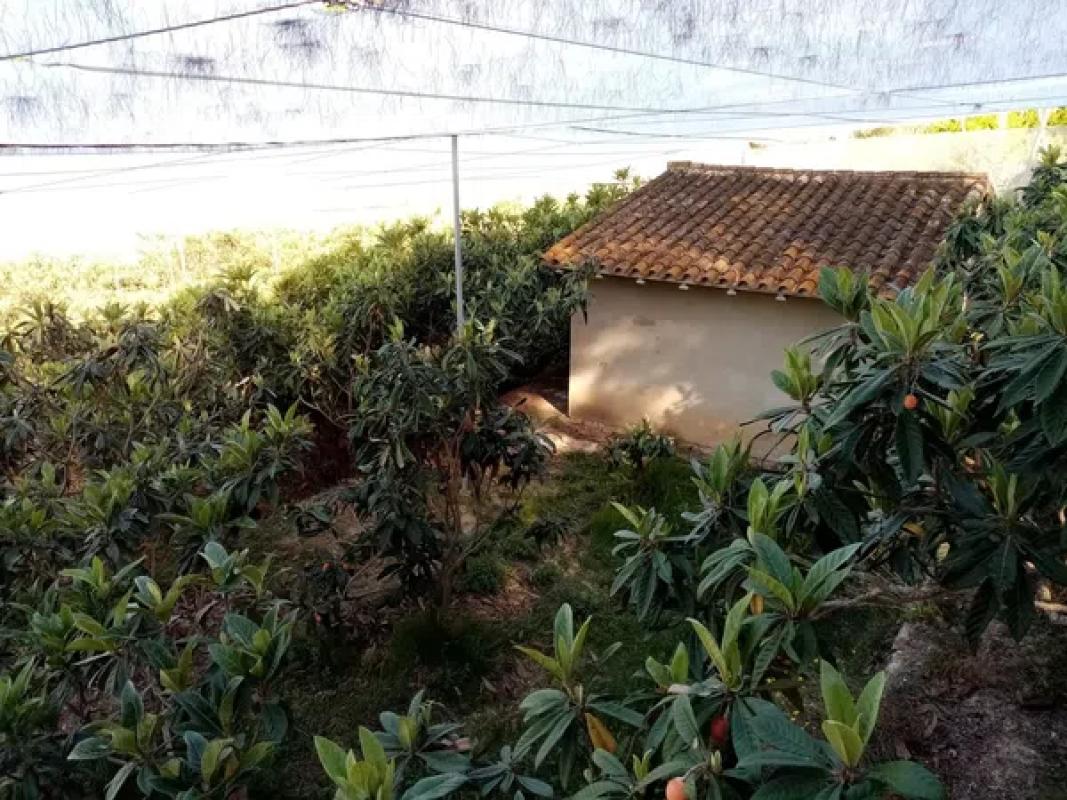 Terreno en venta en Callosa d''En Sarria, Alicante photo 3