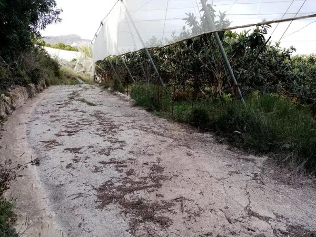 Terreno en venta en Callosa d''En Sarria, Alicante photo 4