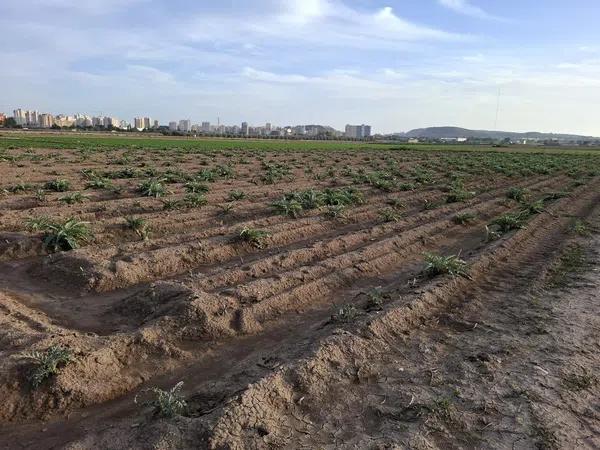 Terreno en Puerto Deportivo photo 3