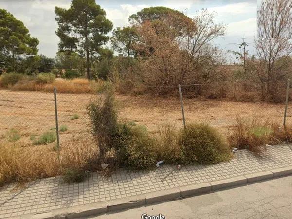 Terreno en La Huerta photo 3