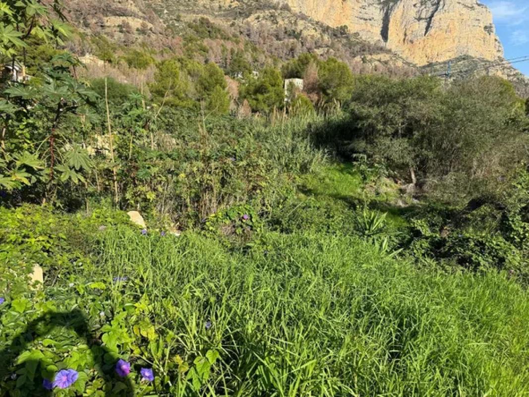 Terreno en venta en Jávea/Xàbia, Alicante photo 3