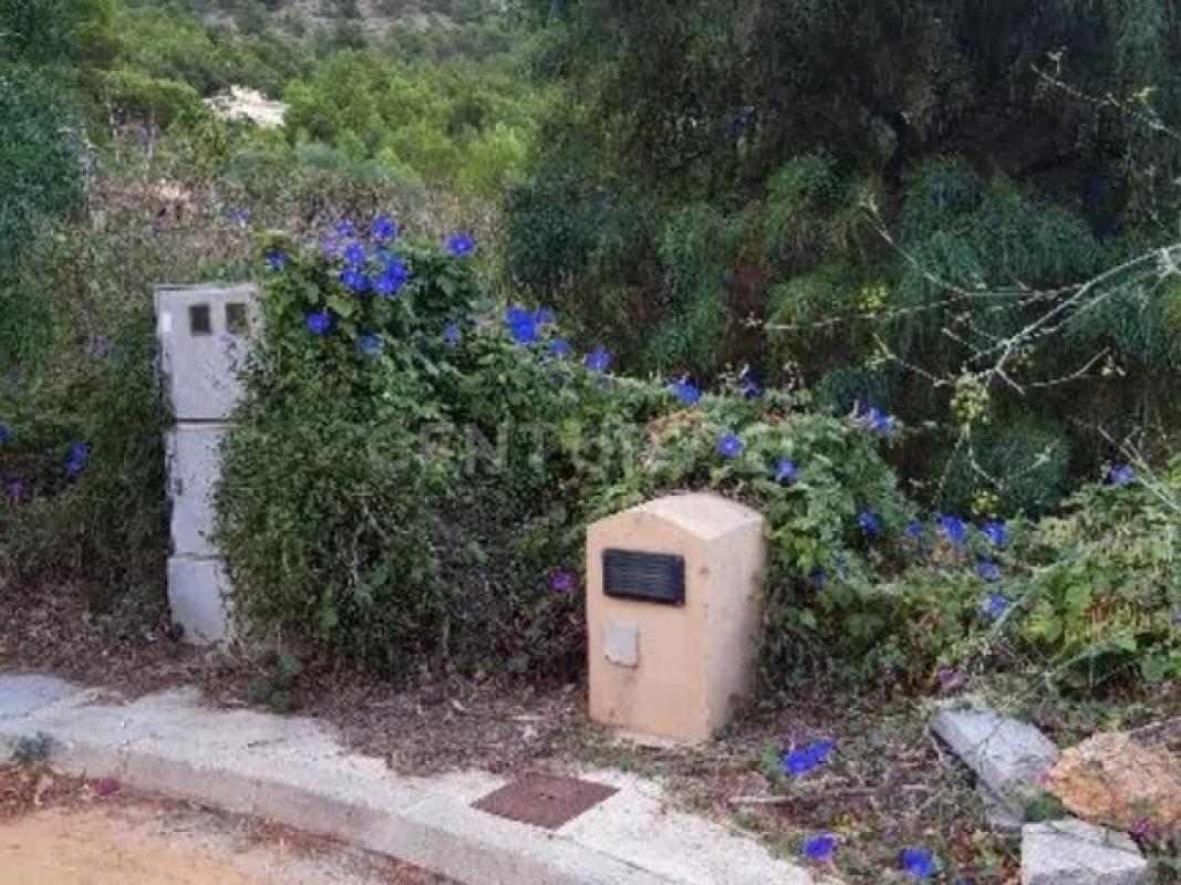Terreno en venta en Jávea/Xàbia, Alicante photo 4