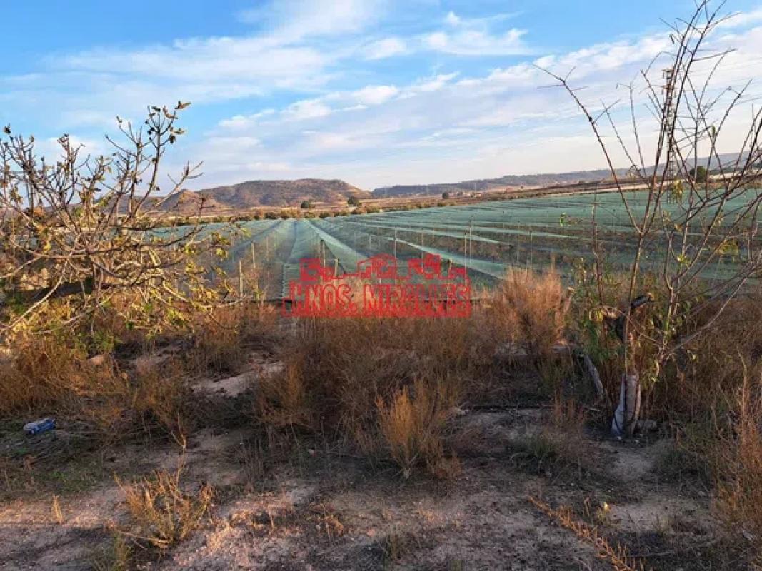 Участок земли на продажу в Монфорте-дель-Сид, Аликанте photo 2