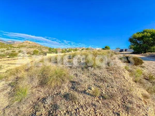 Terreno en Moralet photo 3